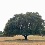 Casa La Colmena בית כפרי Ávila