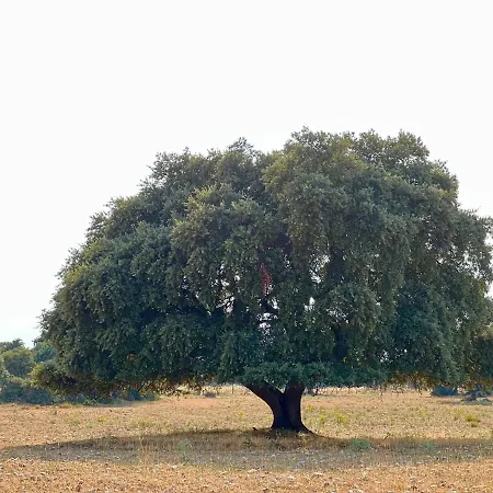 Casa La Colmena Εξοχικό σπίτι Ávila