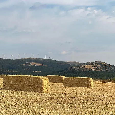 Casa La Colmena Εξοχικό σπίτι Ávila
