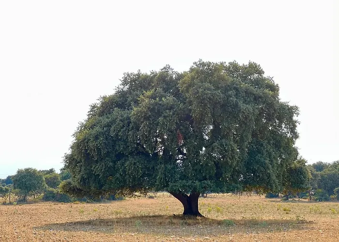 Casa La Colmena Casa di campagna Ávila