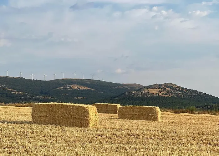 Casa La Colmena Landsted Ávila
